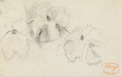 Leaves 1 by George Romney